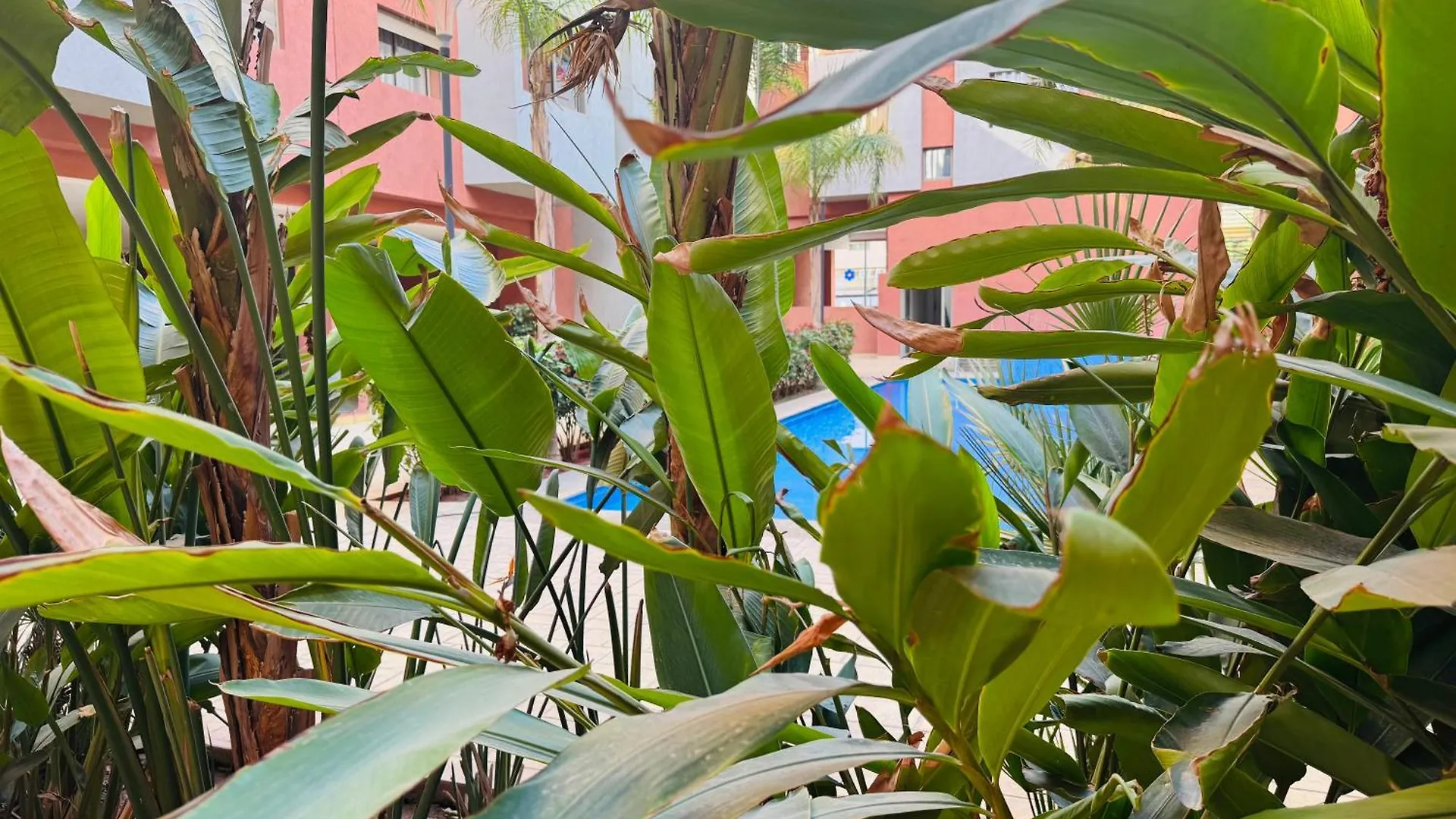 Appartement Bettna Marrakesh Apartment